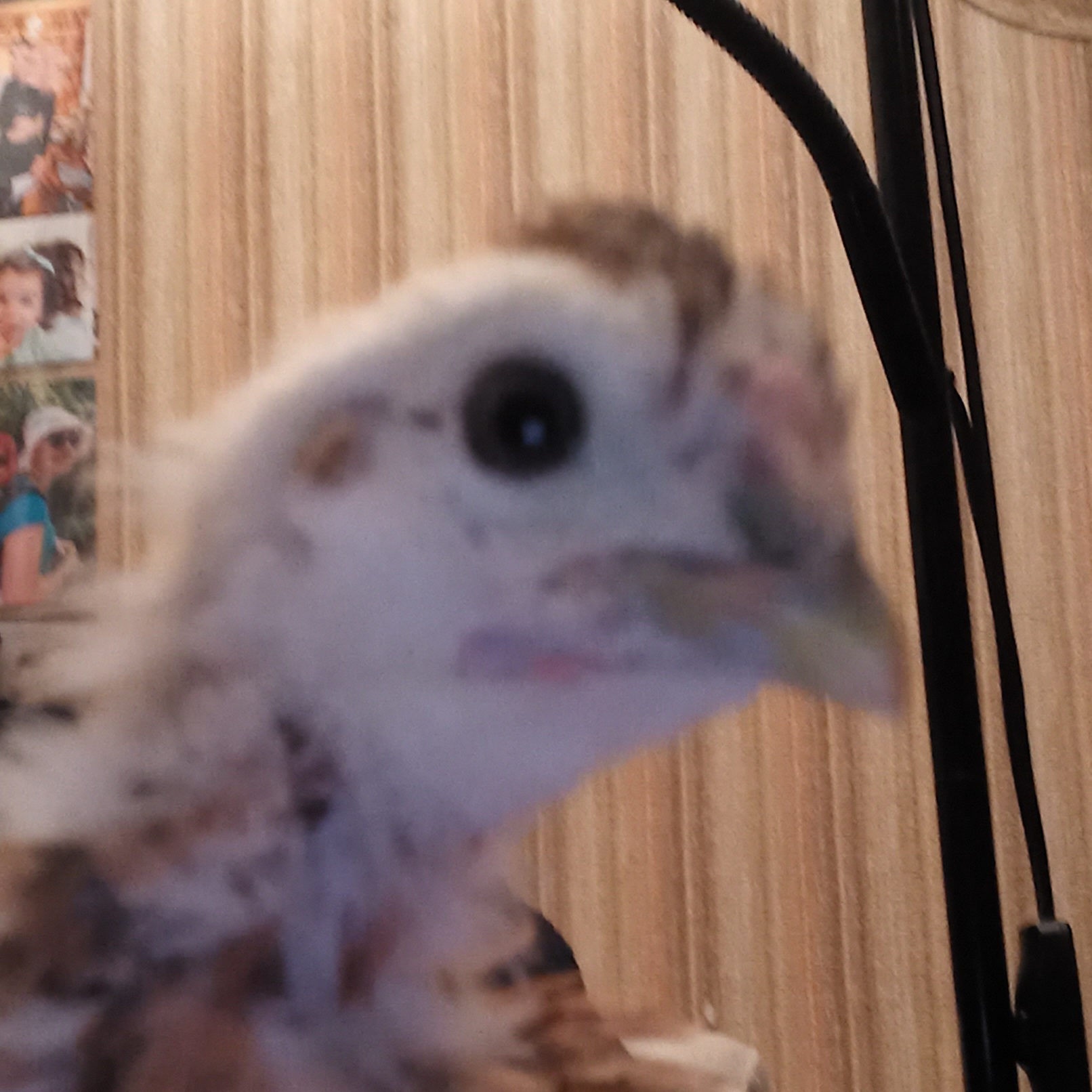 Photo prise le 2023-03-01